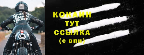 твердый Абаза