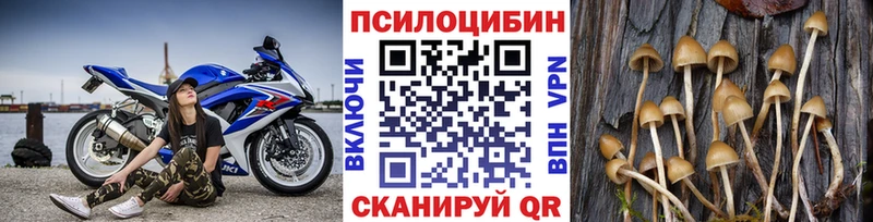 продажа наркотиков  omg ССЫЛКА  Галлюциногенные грибы MAGIC MUSHROOMS  Собинка 